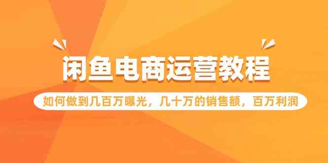 （9560期）闲鱼电商运营教程：如何做到几百万曝光，几十万的销售额，百万利润.-网创资源库