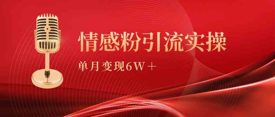 （9473期）单月变现6w+，情感粉引流变现实操课-网创资源库