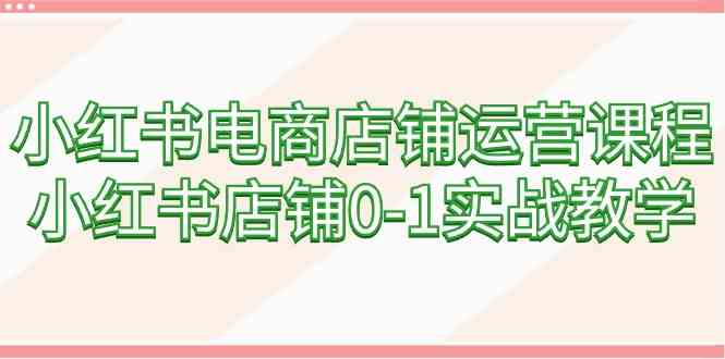 （9249期）小红书电商店铺运营课程，小红书店铺0-1实战教学（60节课）-网创资源库