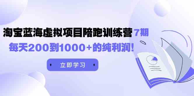 （9541期）黄岛主《淘宝蓝海虚拟项目陪跑训练营7期》每天200到1000+的纯利润-网创资源库