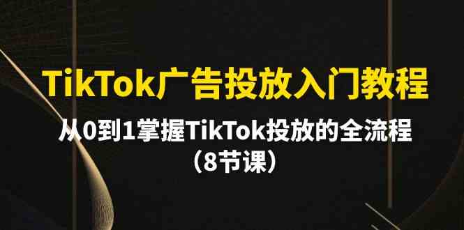 （10085期）TikTok广告投放入门教程，从0到1掌握TikTok投放的全流程（8节课）-网创资源库