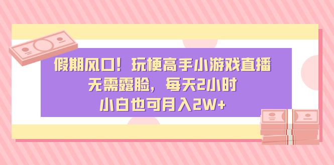 假期风口！玩梗高手小游戏直播，无需露脸，每天2小时，小白也可月入2W+-网创资源库