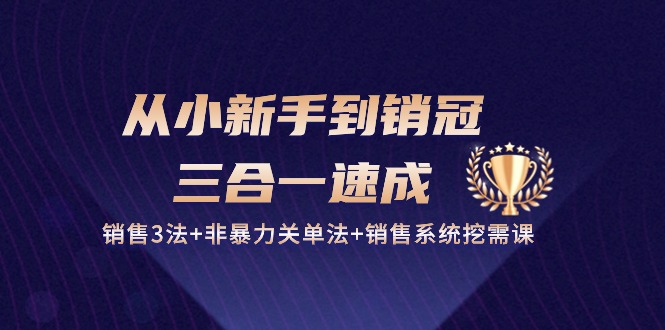 （10799期）从小新手到销冠 三合一速成：销售3法+非暴力关单法+销售系统挖需课 (27节)-网创资源库