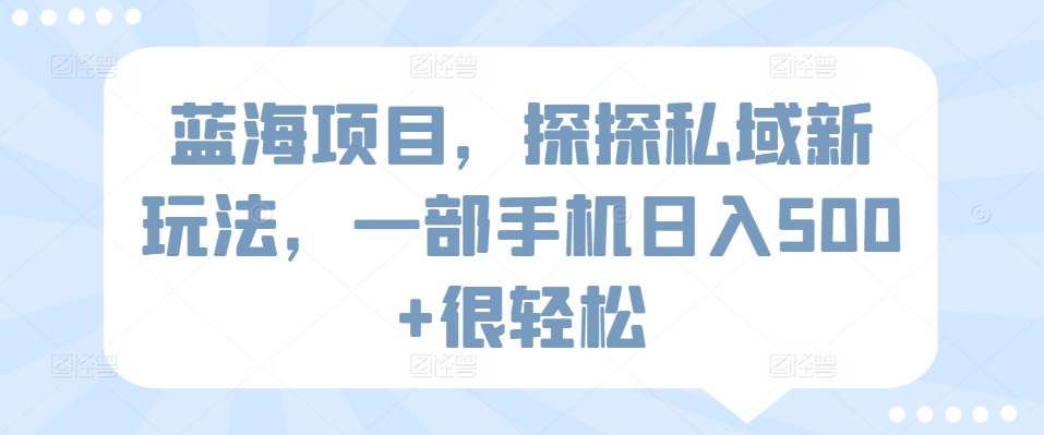 蓝海项目，探探私域新玩法，一部手机日入500+很轻松-网创资源库