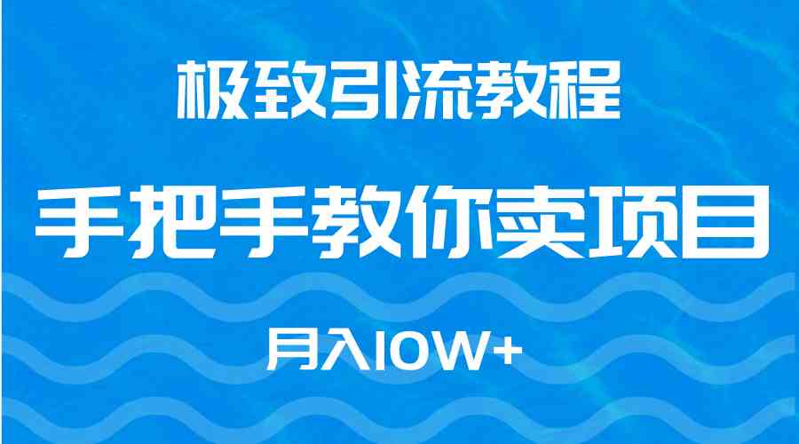 （9265期）极致引流教程，手把手教你卖项目，月入10W+-网创资源库