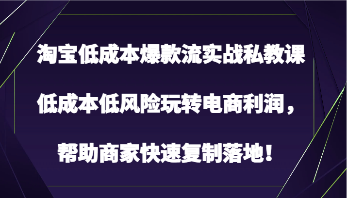 淘宝低成本爆款流实战私教课，低成本低风险玩转电商利润，帮助商家快速复制落地！-网创资源库