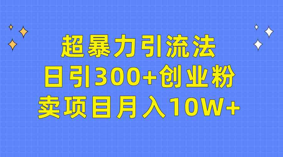 （9954期）超暴力引流法，日引300+创业粉，卖项目月入10W+-网创资源库