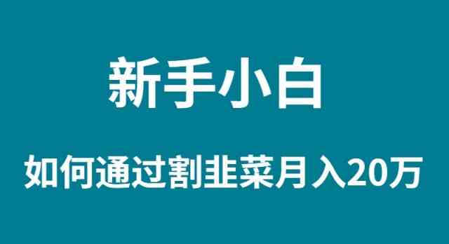 （9308期）新手小白如何通过割韭菜月入 20W-网创资源库