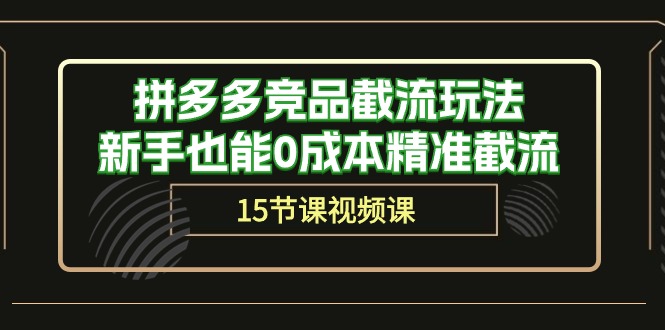 （10301期）拼多多竞品截流玩法，新手也能0成本精准截流（15节课）-网创资源库