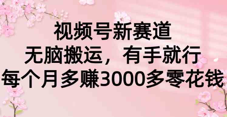 （9277期）视频号新赛道，无脑搬运，有手就行，每个月多赚3000多零花钱-网创资源库