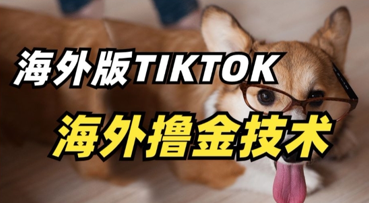 抖音海外版tiktok撸金技术，这个风口行业，赚钱真的不难-网创资源库