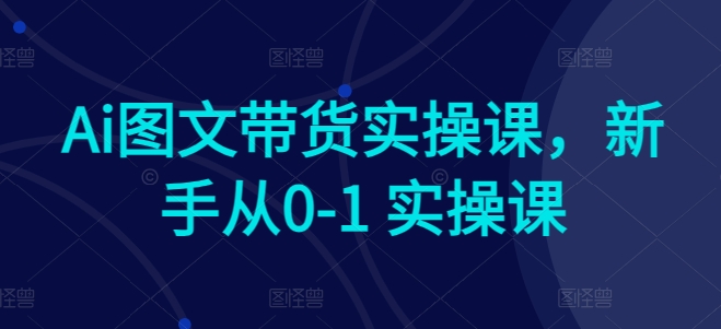 Ai图文带货实操课，新手从0-1 实操课-网创资源库