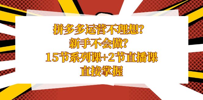 拼多多运营不理想？新手不会做？15节系列课+2节直播课，直接掌握-网创资源库