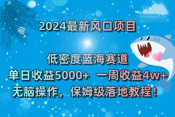 2024最新风口项目 低密度蓝海赛道，日收益5000+周收益4w+ 无脑操作-网创资源库