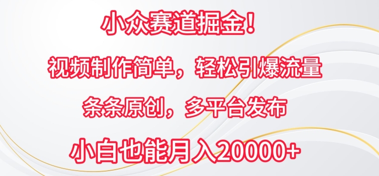 小众赛道掘金，视频制作简单，轻松引爆流量，条条原创，多平台发布-网创资源库