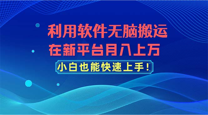 利用软件无脑搬运，在新平台月入上万，小白也能快速上手-网创资源库