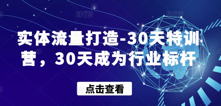 实体流量打造-30天特训营，30天成为行业标杆-网创资源库